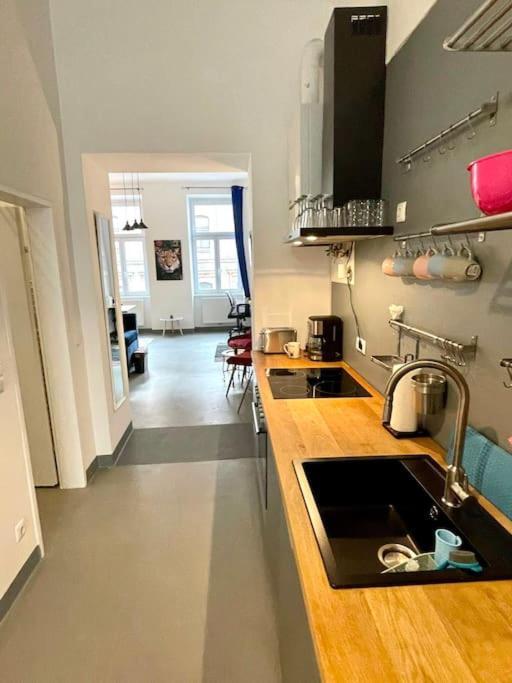 Klimatisierte Sehr Zentrale Wohnung-Loftstyle- เวียนนา ภายนอก รูปภาพ